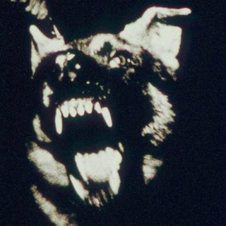 Telegram profile photo for Число Зверя