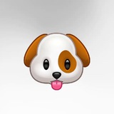 Telegram profile photo for sal pribadi