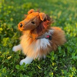 Telegram profile photo for c1mf3rt z0n3