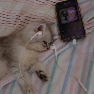 Telegram profile photo for вайбовые треки из тт 💜 | музыка из тик тока