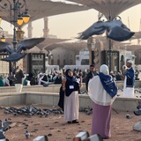 Telegram profile photo for أثـــر