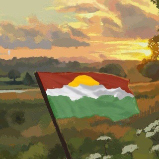 Telegram profile photo for Єдине Бакланова Муравійка❤️💚