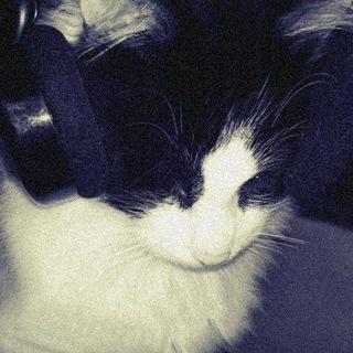Telegram profile photo for Game Over