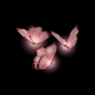 Telegram profile photo for 𝑺𝑲𝑼𝑷 𝑻𝑰𝑵𝑫𝑬𝑹 𝑰𝑵𝑭𝑶