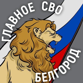 Telegram profile photo for Главное / СВО / Белгород и область