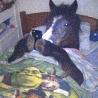 Telegram profile photo for As told by brunette