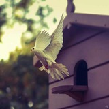 Telegram profile photo for 🍃قٌڊ طُآلُ الفِراَقَ ❥̚͢ ا💔