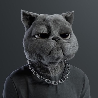 Telegram profile photo for CRYPTO ЭЙФОРИЯ