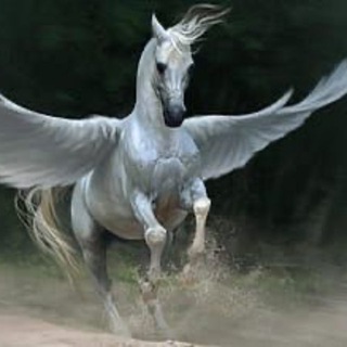 Telegram profile photo for Pegasus41infos