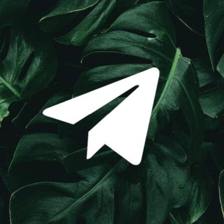 Telegram profile photo for Отзывы/реклама VOLSHEBNIK