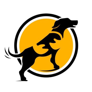 Telegram group profile photo for Наше хвостатое счастье