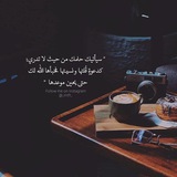 Telegram profile photo for مرسى التائيهن