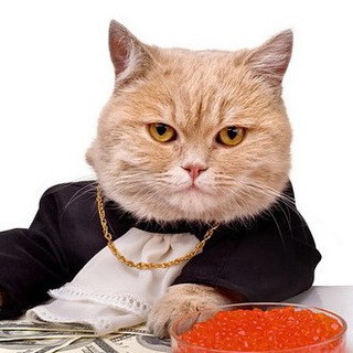 Telegram profile photo for TRADING PRICE ACTION PATTERNS