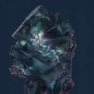 Telegram profile photo for ChikoRoko Team