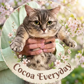 Telegram profile photo for Cocoa Everyday 🍃