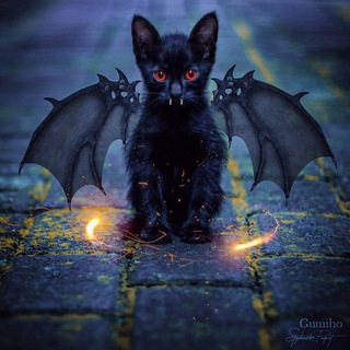 Telegram profile photo for Видео с фестов