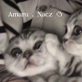Telegram profile photo for sh!tpost neoæzone