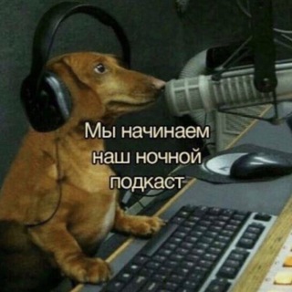 Telegram profile photo for Розовые очки