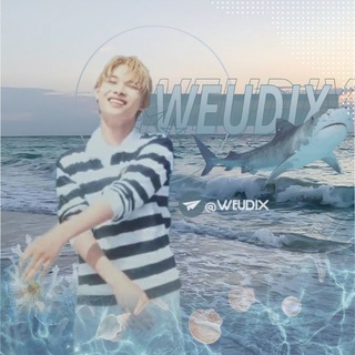 Telegram profile photo for WEUDIX.