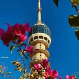 Telegram profile photo for سقيا للفؤاد ||"🌿