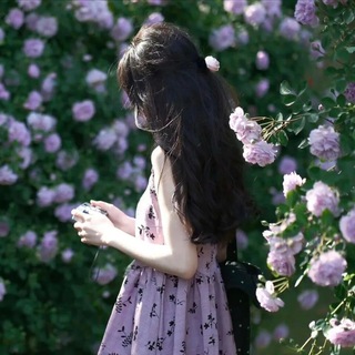 Telegram profile photo for Helen bulk sms