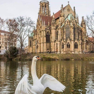 Telegram profile photo for БАРАХОЛКА Висбаден ГЕРМАНИИ