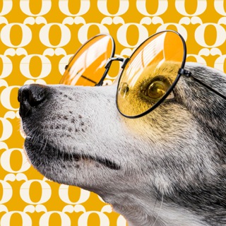 Telegram group profile photo for ОАЭ с питомцем (собака, кошка и проч)