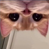 Telegram profile photo for Розыгрыш подарков и звезд