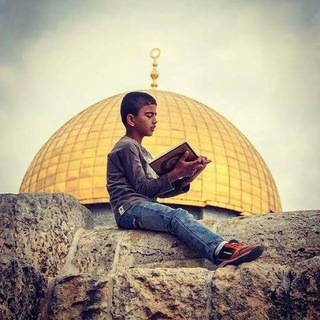 Telegram profile photo for كرتون الفجر الباسم