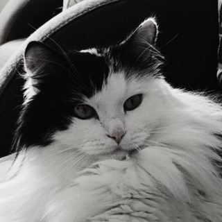 Telegram profile photo for Релакс