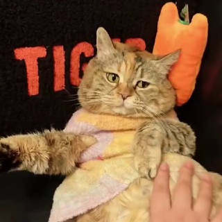 Telegram profile photo for 🍞Хлебобулочная Гуанданг ☕