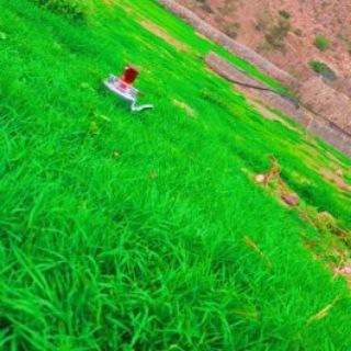 Telegram profile photo for 『مــ 🇾🇪᭓⃟ـالكـ✌️الهـ🇾🇪᭓⃟ـكر₂₀₂⁴ 』