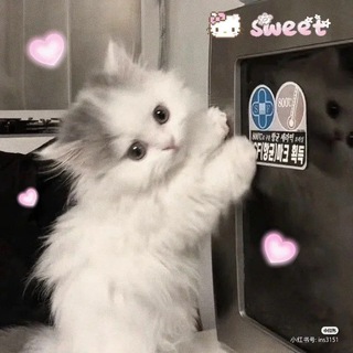 Telegram group profile photo for “恋花买卖群ઇ