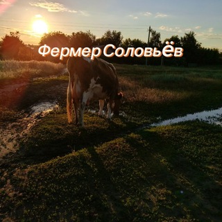 Telegram profile photo for Farming Simulator /20/23/26/ от Соловьева🚜🚜🚜