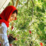 Telegram profile photo for زیباترین اشعار و دکلمه ها