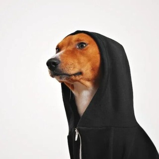 Telegram profile photo for нелегальный дуст