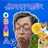 Telegram profile photo for HPOS7M - $BTC Portal