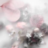 Telegram profile photo for 🌸"INFO"🌸