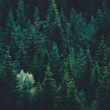 Telegram profile photo for ALive - Закрыт