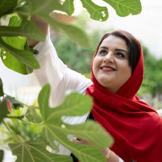 Telegram profile photo for چاکرادرمانی🧘♀️فیروزه مالایی