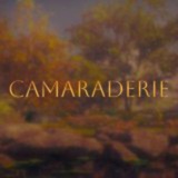 Telegram profile photo for Camaraderie! promo 🤎