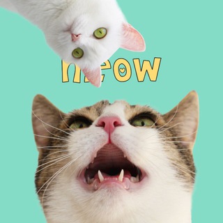 Telegram profile photo for Мятный