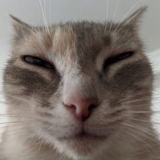 Telegram profile photo for телеграмностьдней