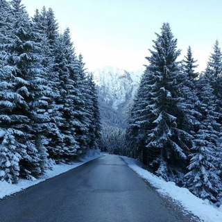Telegram profile photo for 🚙 ПОПУТКА krsk 24