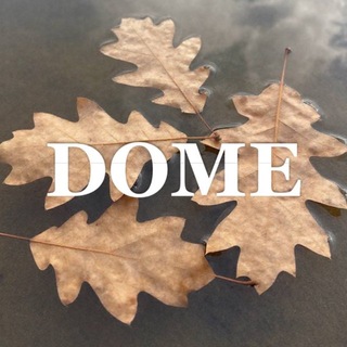 Telegram profile photo for DOME