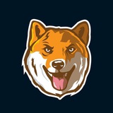 Telegram profile photo for GloryDoge Price Bot