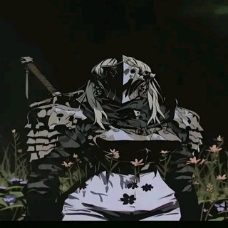Telegram profile photo for 505