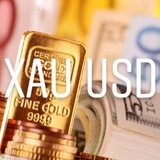 Telegram profile photo for Free Forex Gold Signals