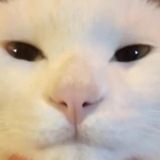 Telegram profile photo for Moksy44 - переходник