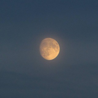 Telegram profile photo for moon